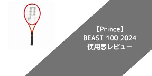 【Prince】BEAST 100 2024の使用感・評価・レビュー【スピン系】